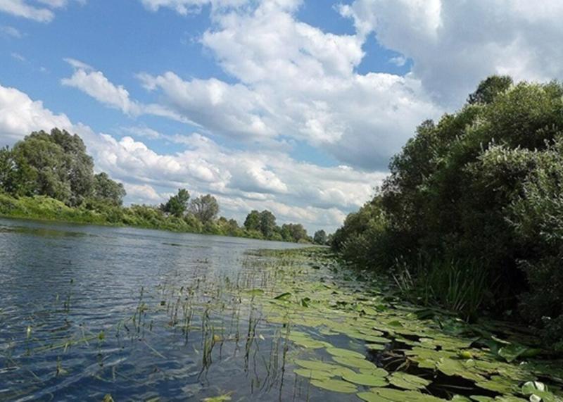 У Міністерстві екології провели аналіз води в Київській, Чернігівській та Сумській областях.