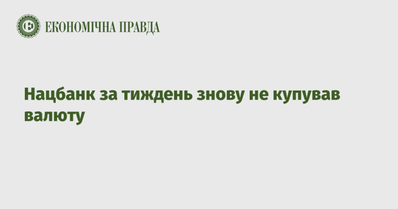 Національний банк протягом тижня знову не здійснював закупівлю іноземної валюти.