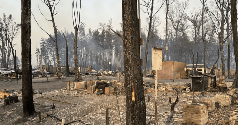 У Харківській області село стало жертвою лісової пожежі, внаслідок якої згоріло повністю (відео).