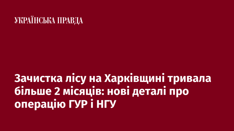 Очищення лісових масивів у Харківській області відбувалося протягом понад 60 днів: свіжі подробиці щодо акції ГУР та НГУ.