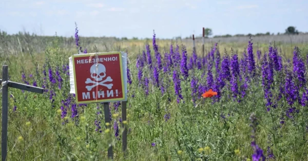 У жовтні в Миколаївській області було очищено від мін понад 2 тисячі гектарів сільськогосподарських земель.