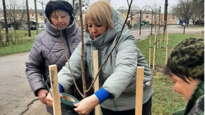 У Шептицькому районі було висаджено алею магнолій.